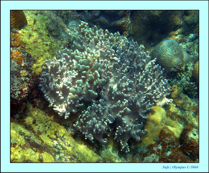 2005 - 08 - Redang  - 150.JPG